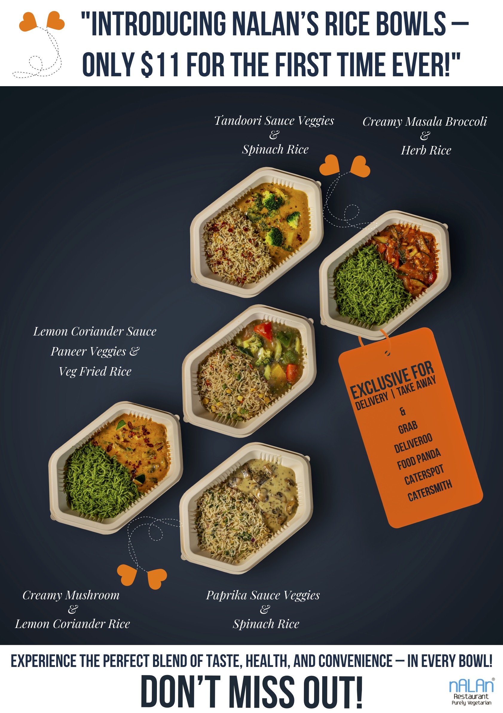 Indian rice bowl